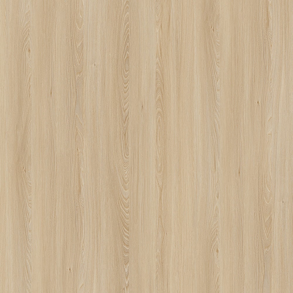 E11032 Kafkasya Elm