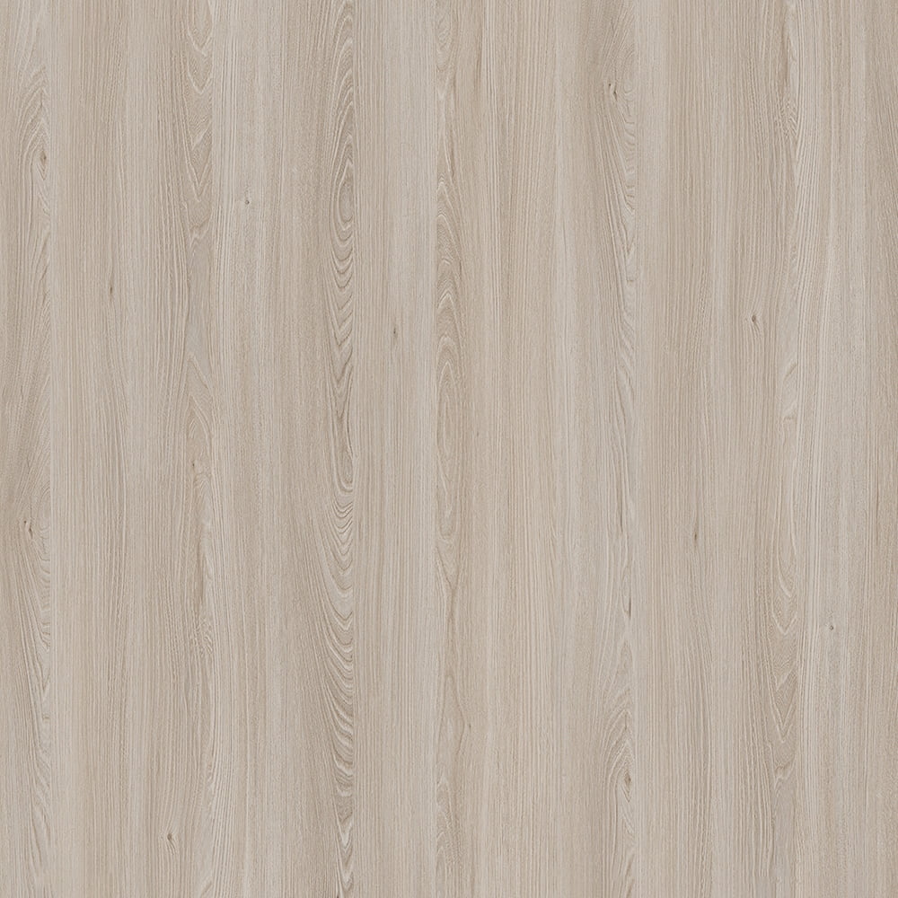 E11032 Kafkasya Elm