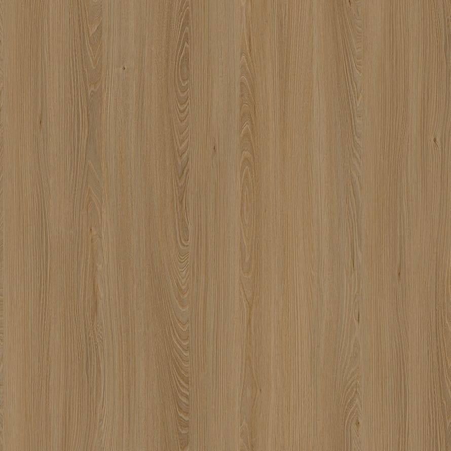 E11032 Kafkasya Elm