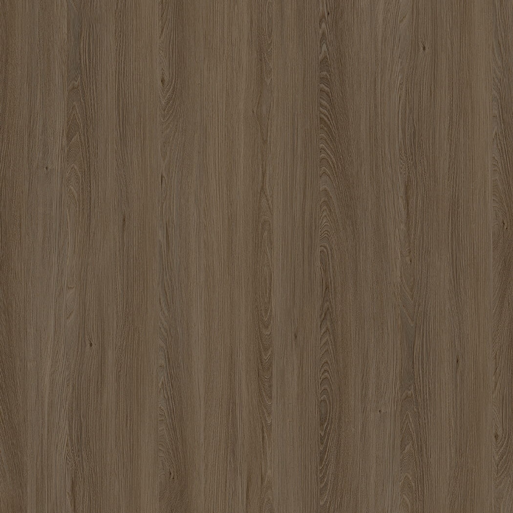 E11032 Kafkasya Elm