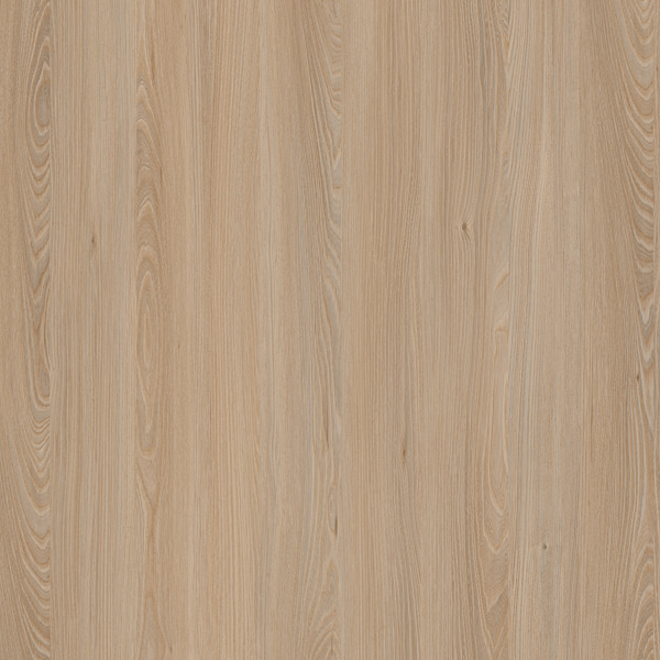 E11032 Kafkasya Elm