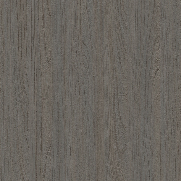 E11024 Eski kokulu elm