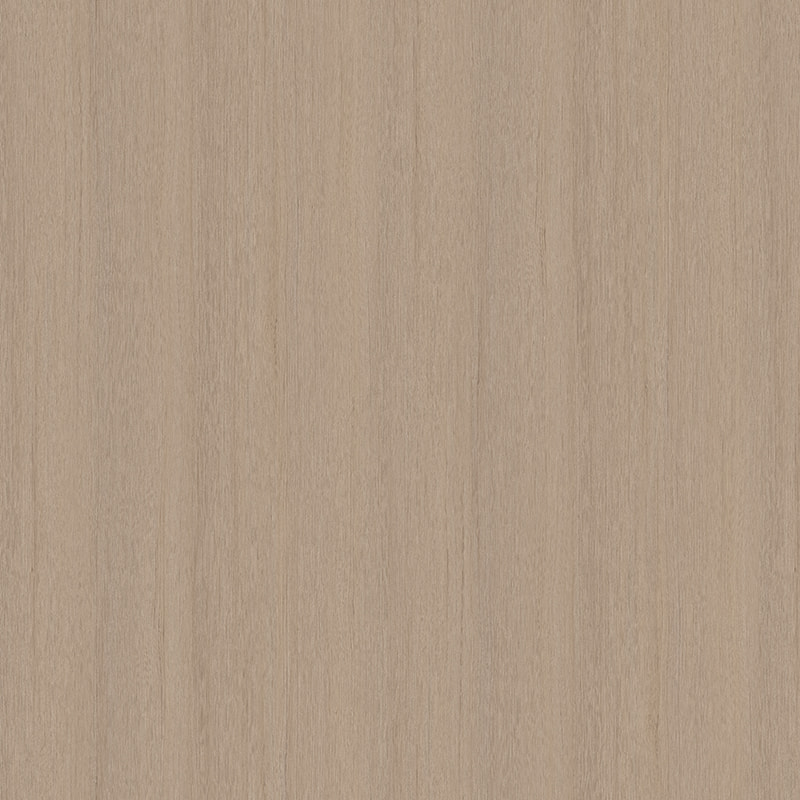 X2131 Çin Fir